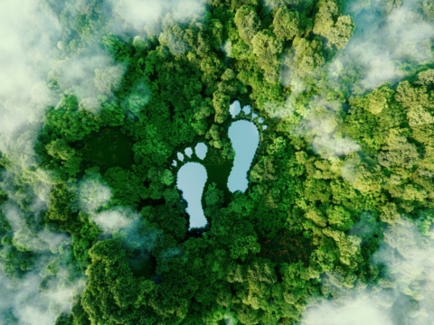 photo of carbon footprint