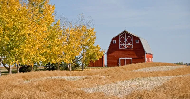 Image of a red pole barn in a grain field with trees turning fall colors, indicating a need for a pole barn heater.