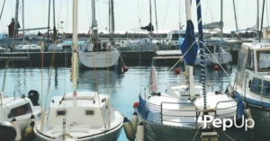 Boats in marina slips at the Bay.